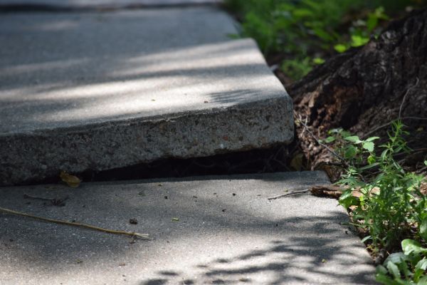 Sidewalk Leveling in Wesley Chapel