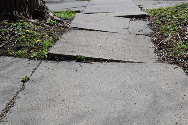 Cost of Concrete Sidewalk Leveling in Wesley Chapel