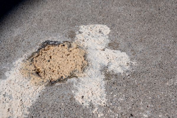 Cost of Walkway Leveling in Wesley Chapel