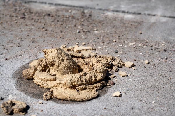 Cost of Driveway Slab Leveling in Wesley Chapel